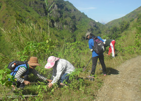 Community Activities Gallery